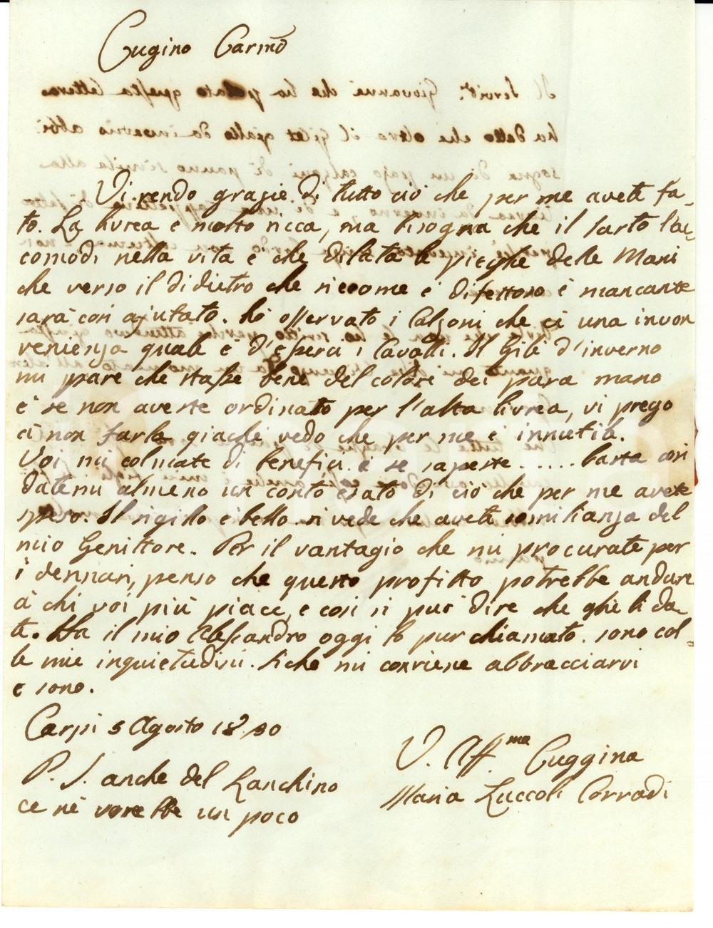 Documento originale, autentico 1830 CARPI MO Maria CORRADI a Ippolito ZUCCOLI per livrea CARBONERIA 1