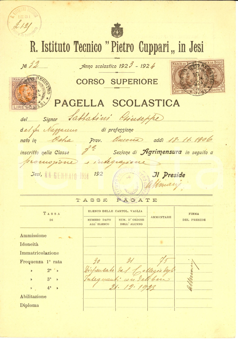 Oggetto da collezione cartaceo 1924 JESI AN Pagella Giuseppe SABBATINI Regio Istituto Tecnico Pietro CUPPARI 1