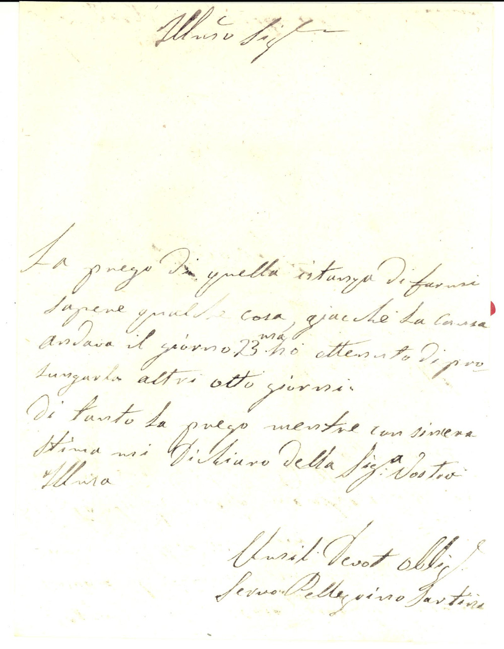 Manoscritto, lettera originale 1859 SANT ANGELO IN VADO PU Pellegrino SARTINI supplica per la propria causa 1