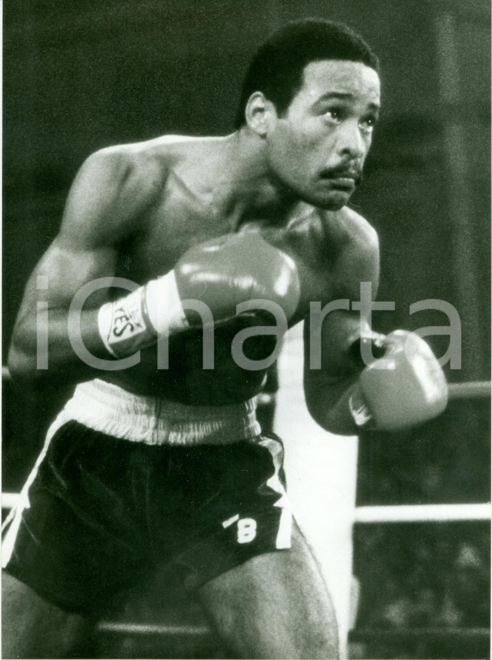 Fotografia d epoca originale 1985 ca BOXE Pugile Wilfred BENITEZ in difesa sul ring Fotografia 1