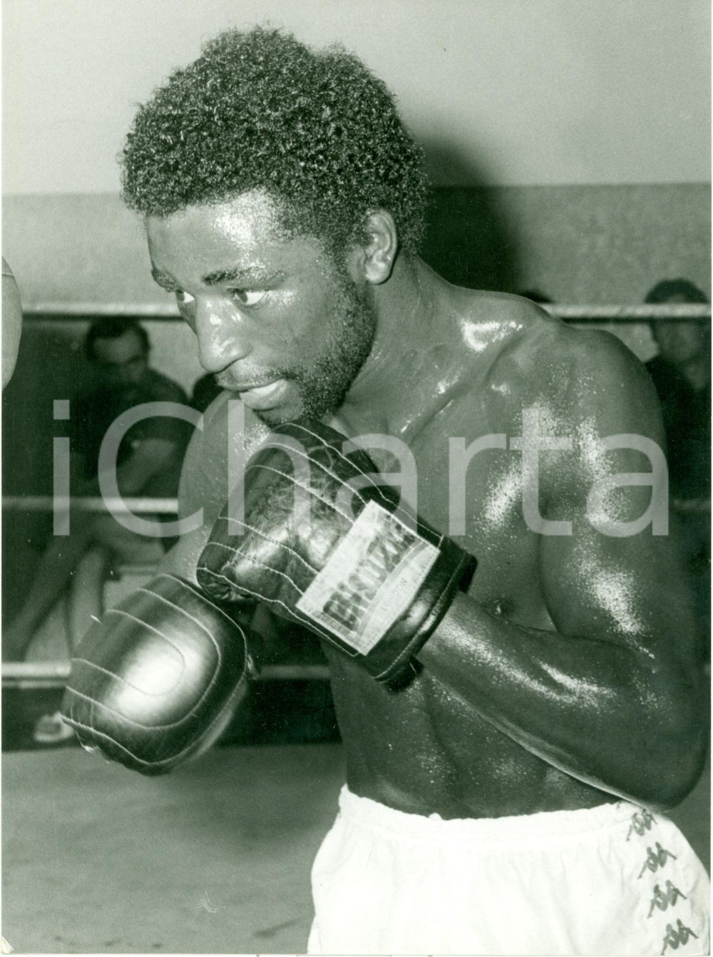 Fotografia d epoca originale 1985 ca BOXE Pugile Cornelius BOZA EDWARDS sul ring guantoni LONSDALE Foto 1