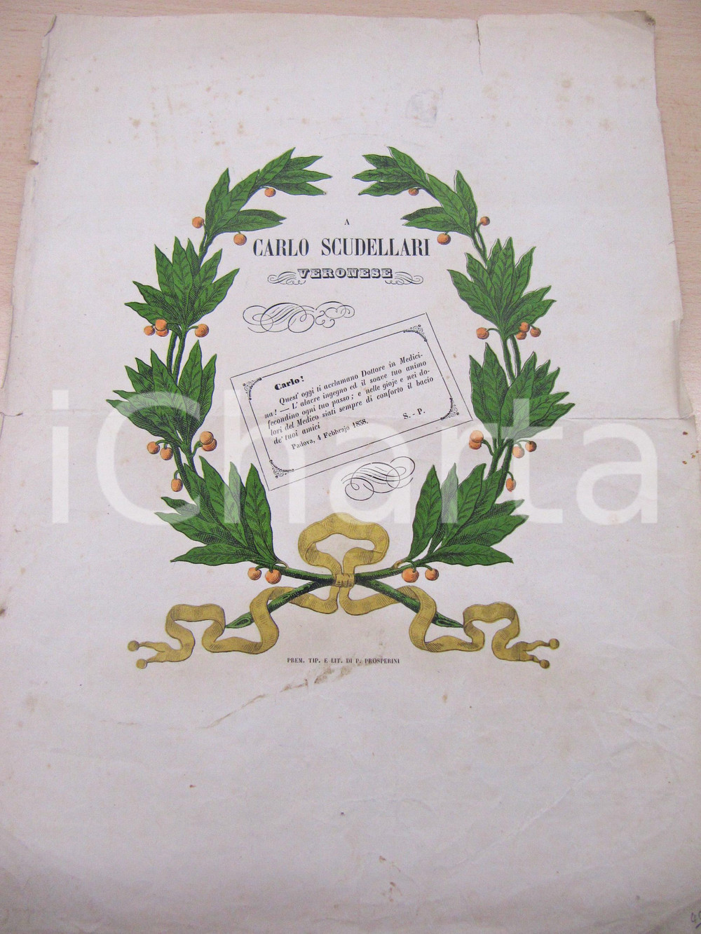 Documento originale, autentico 1858 PADOVA A Carlo SCUDELLARI Veronese Laurea in medicina Manifesto 1