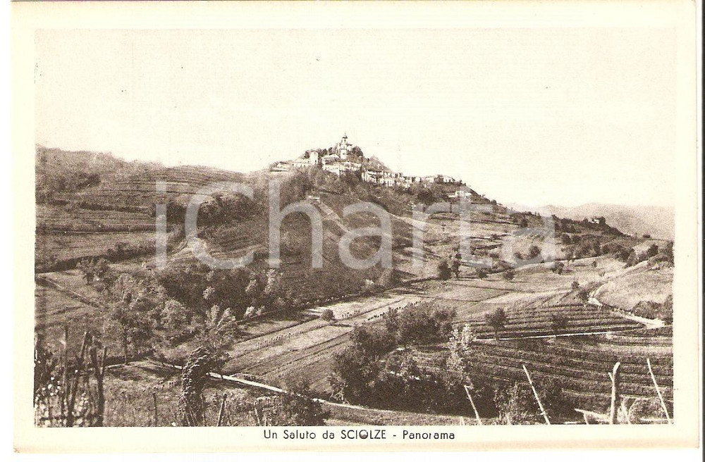 Cartolina originale da collezione 1930 ca SCIOLZE TO Scorcio panoramico Cartolina FP NV 1