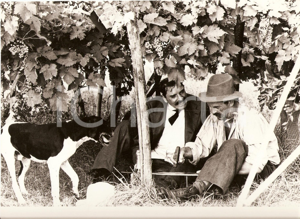 Fotografia d epoca originale 1976 NOVECENTO Burt LANCASTER Bernardo BERTOLUCCI Fotografia di scena 1