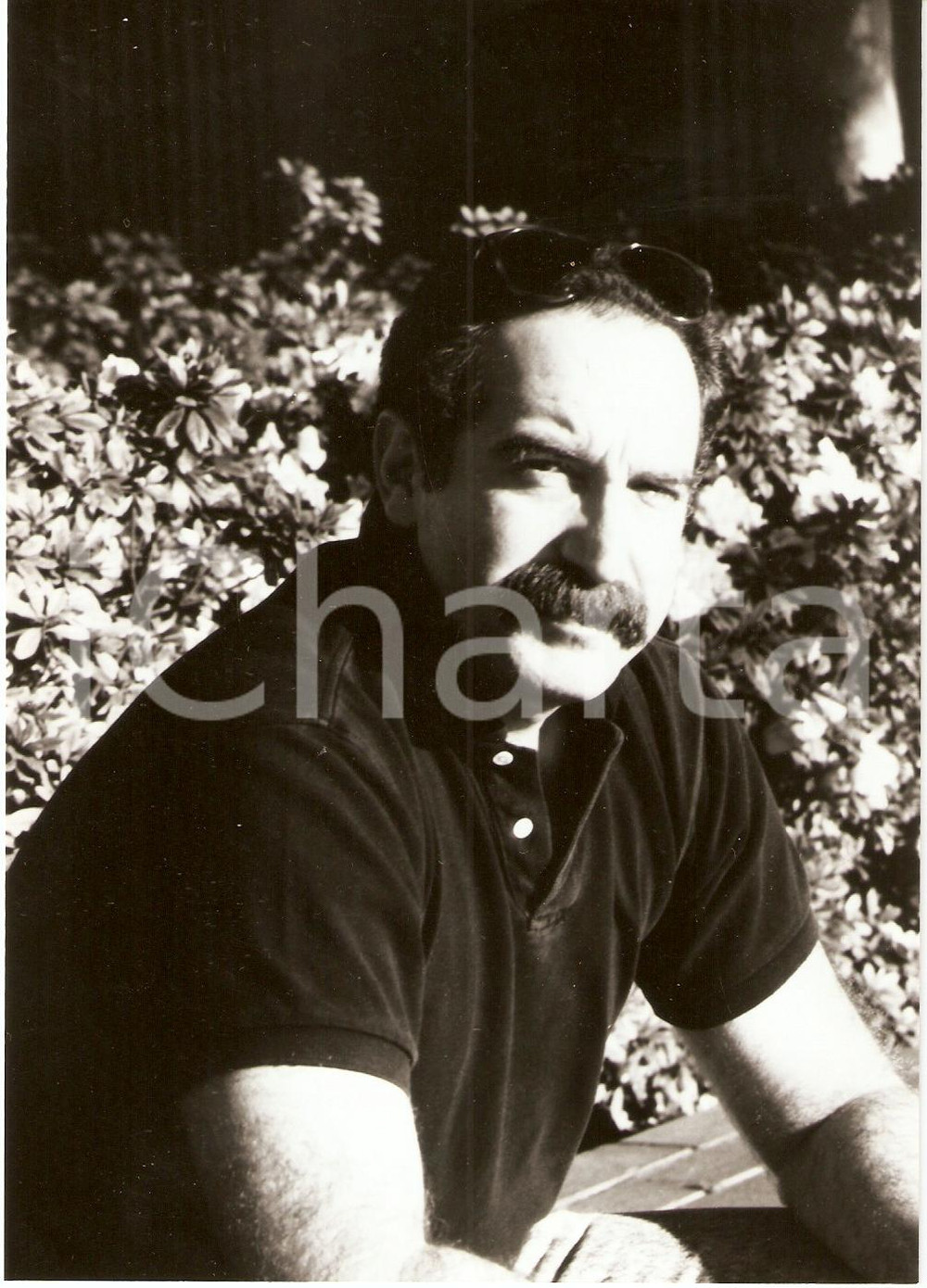 Fotografia d epoca originale 1990 circa ALAN D. ALTIERI Ritratto URANIA Vera fotografia 1