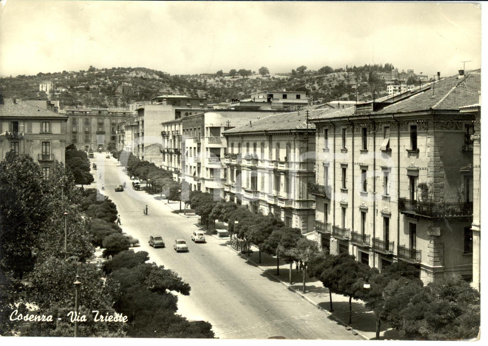 Cartolina originale da collezione 1959 COSENZA Veduta di VIA TRIESTE Cartolina DANNEGGIATA FG VG 1