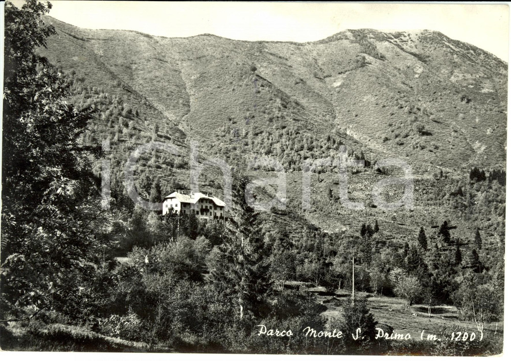 Cartolina originale da collezione 1955 BELLAGIO CO PARCO MONTE S. PRIMO Chalet Selva Cartolina FG VG 1