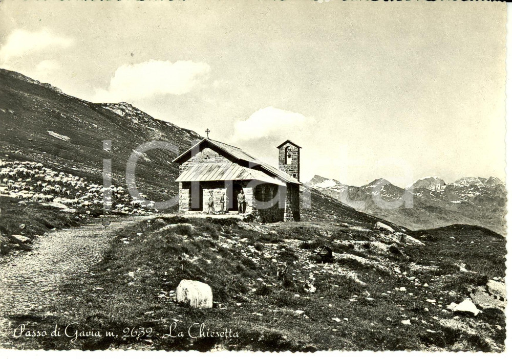 Cartolina originale da collezione 1960 PASSO DI GAVIA BS Veduta della Chiesetta Cartolina FG VG 1