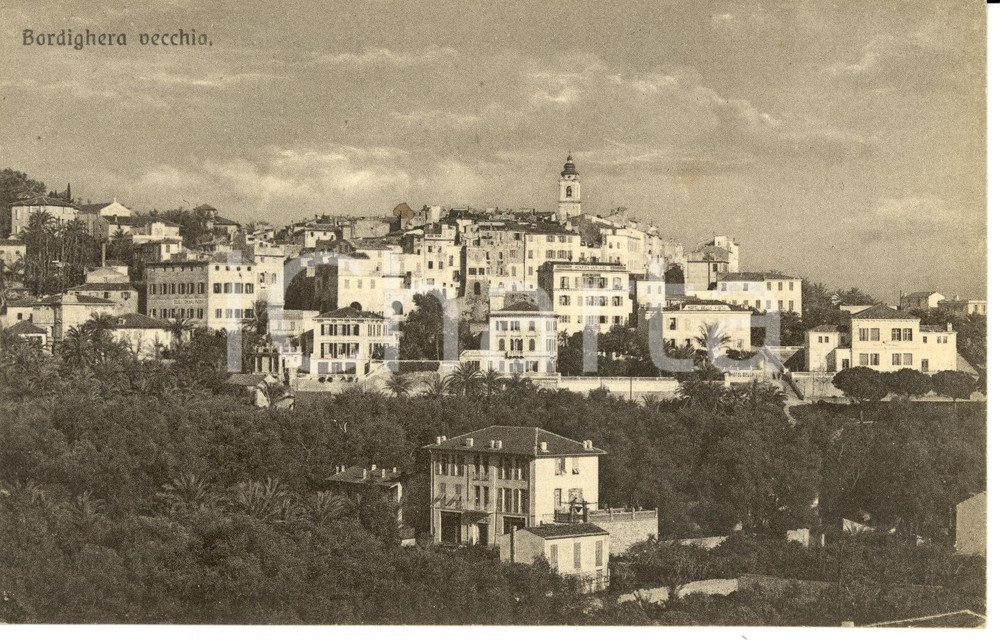 Cartolina originale da collezione 1920 ca BORDIGHERA VECCHIA TO Veduta panoramica cittÃ  alta Cartolina FP NV 1