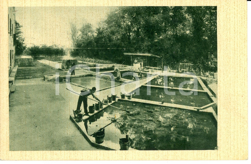 Cartolina originale da collezione 1933 ABANO TERME PD Veduta Stabilimento Termale Meggiorato Cartolina FP VG 1