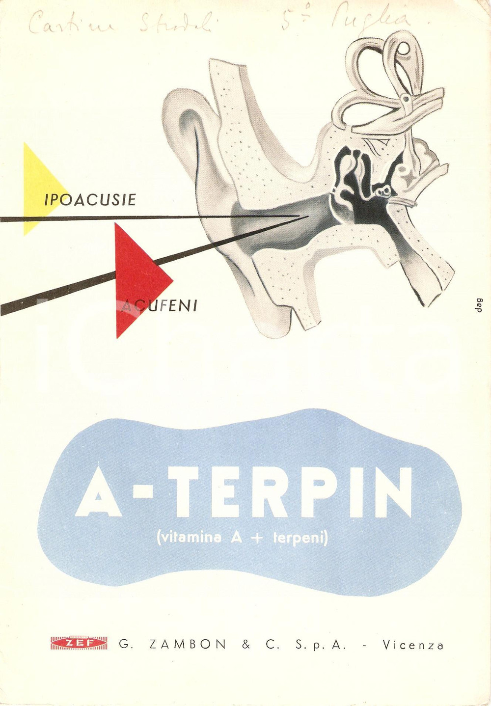 Materiale pubblicitario d’epoca 1955 VICENZA Gaetano ZAMBON Prodotto ZEF Farmaco ATERPIN Pieghevole ILLUSTRATO 1