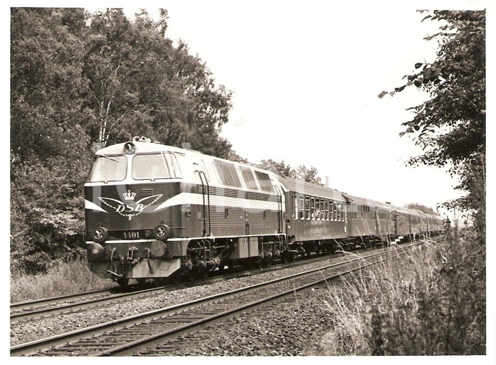 Fotografia d epoca originale 1970 ca DENMARK Danske Statsbaner DSB MZ Locomotive Fotografia 1
