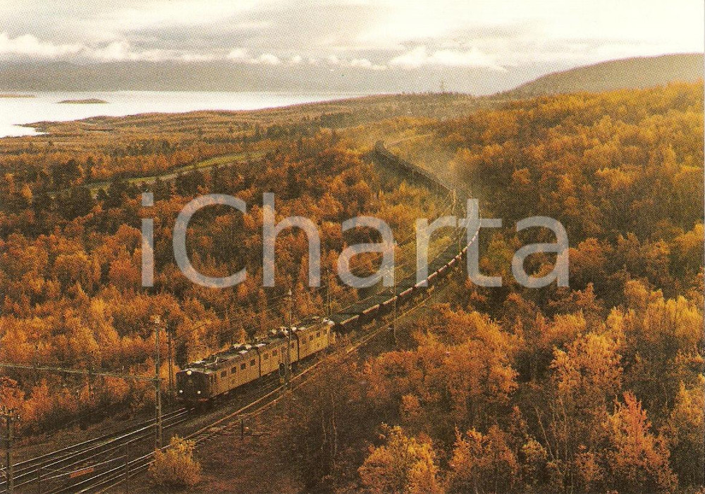 Cartolina originale da collezione 1981 KIRUNA SWEDEN Locomotiva Dm3 trasporta minerali  125Â° SJ Cartolina FG 1