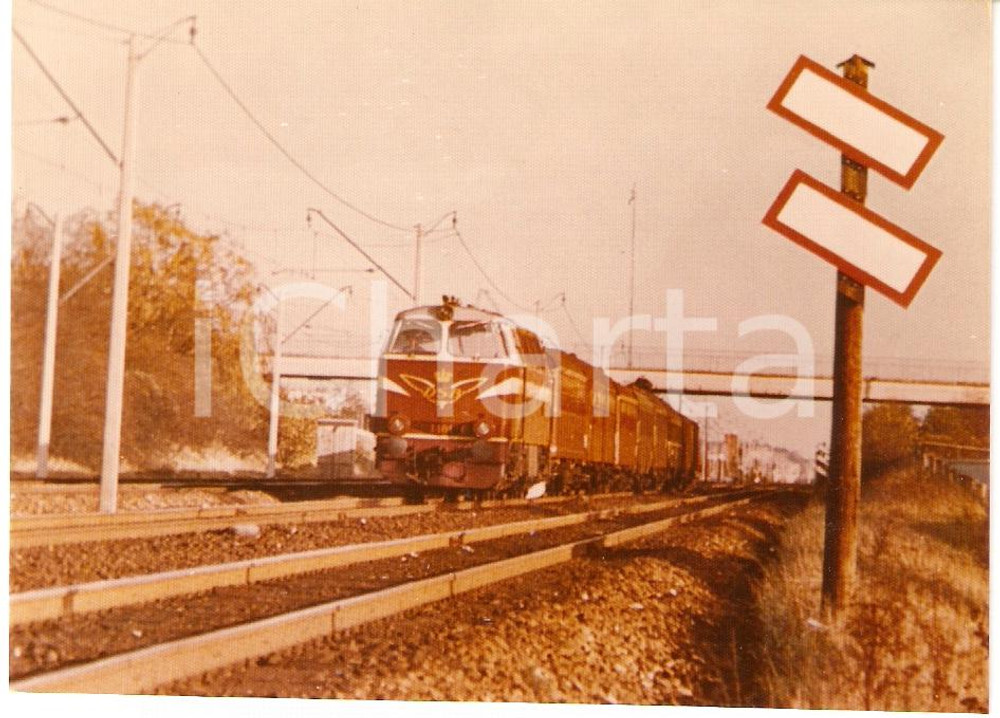 Fotografia d epoca originale 1970 ca DENMARK Danske Statsbaner DSB Locomotiva 1401 Fotografia 1