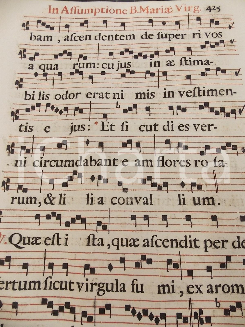 Libro, pubblicazione d epoca 1700 ca ANTIFONARIO ROMANO Pagina canti in rosso e in nero per ASSUNZIONE BMV 1