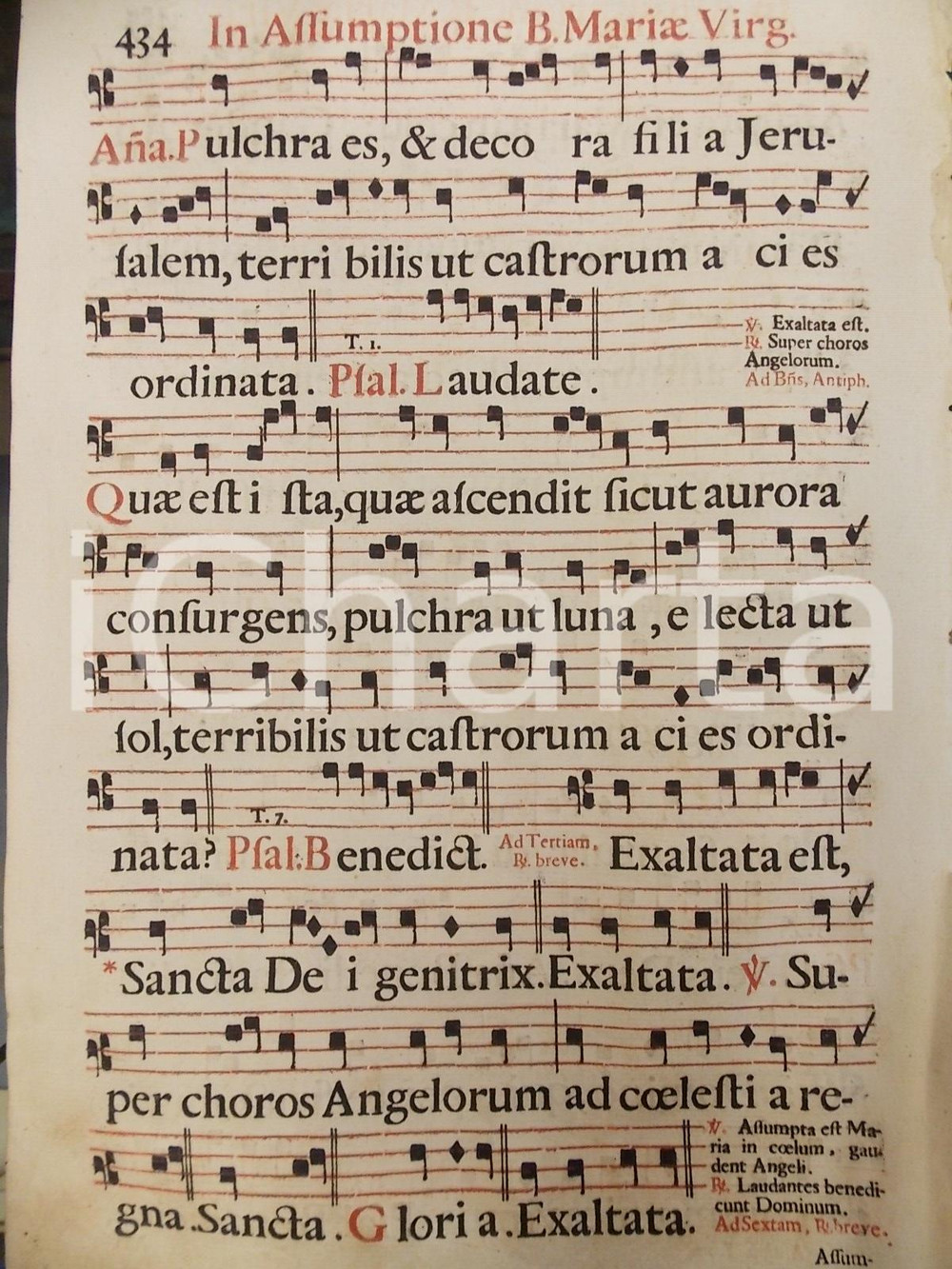 Libro, pubblicazione d epoca 1700 ca ANTIFONARIO ROMANO Pagina canti in rosso nero per l ASSUNZIONE di Maria 1