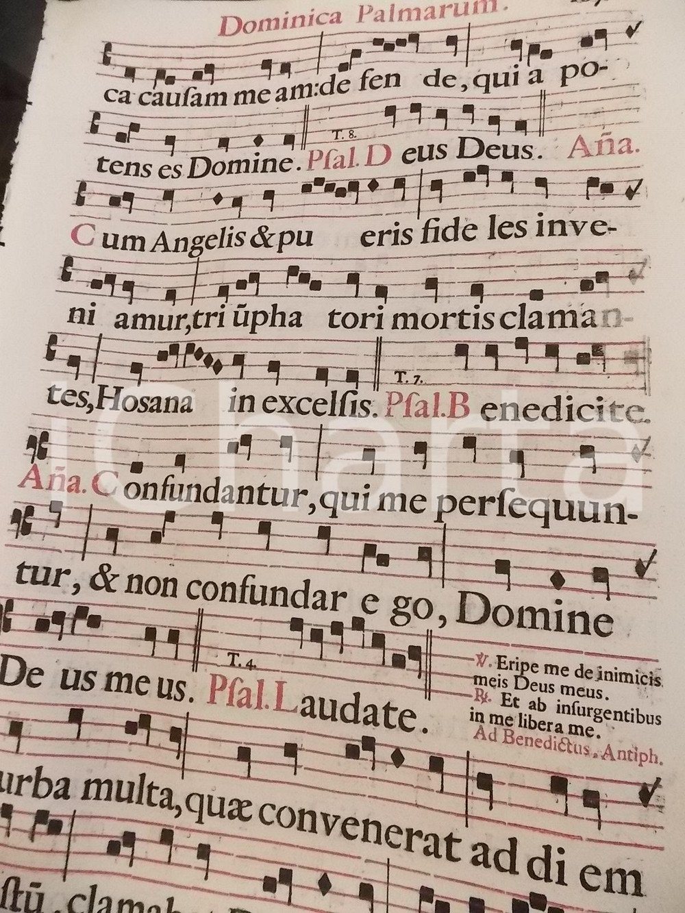 Libro, pubblicazione d epoca 1700 ca ANTIFONARIO ROMANO Pagina canti in rosso e nero Domenica delle PALME 1