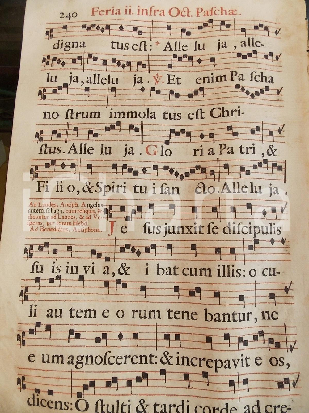 Libro, pubblicazione d epoca 1700 ca ANTIFONARIO ROMANO Pagina canti rosso nero Secondo giorno Ottava PASQUA 1