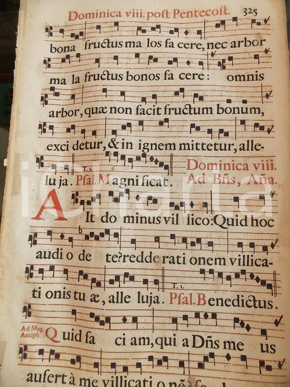 Libro, pubblicazione d epoca 1700 ca ANTIFONARIO ROMANO Pagina canti in rosso e nero VIII Domenica PENTECOSTE 1