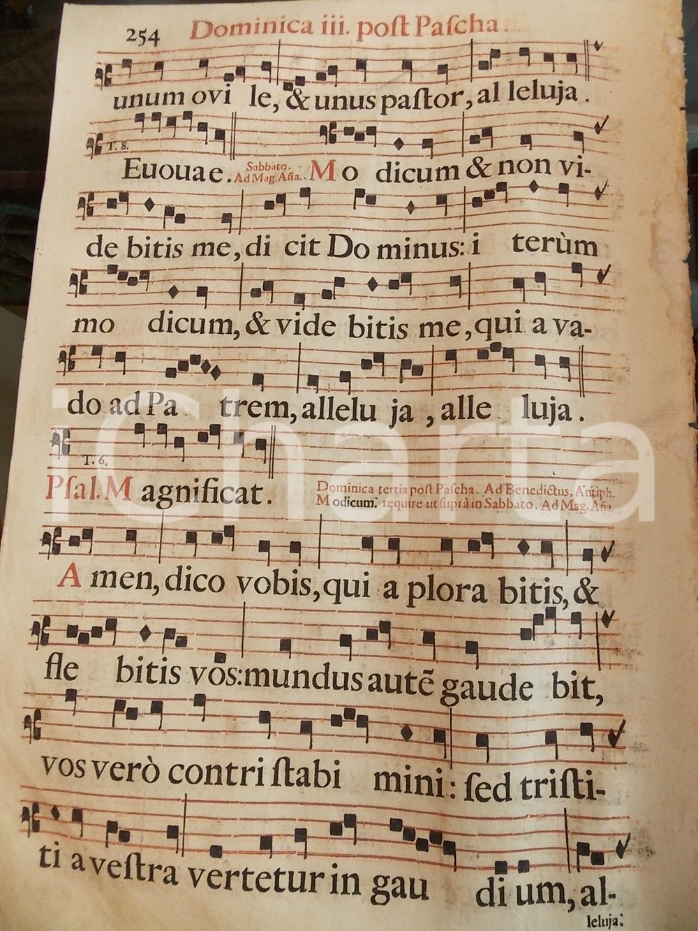 Libro, pubblicazione d epoca 1700 ca ANTIFONARIO ROMANO Pagina canti in rosso e nero Terza domenica PASQUA 1