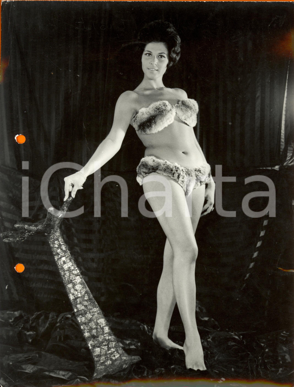 Fotografia d epoca originale 1965 ca MILANO Marina CROVATO Miss Eleganza 1961 in bikini di pelliccia Foto 1