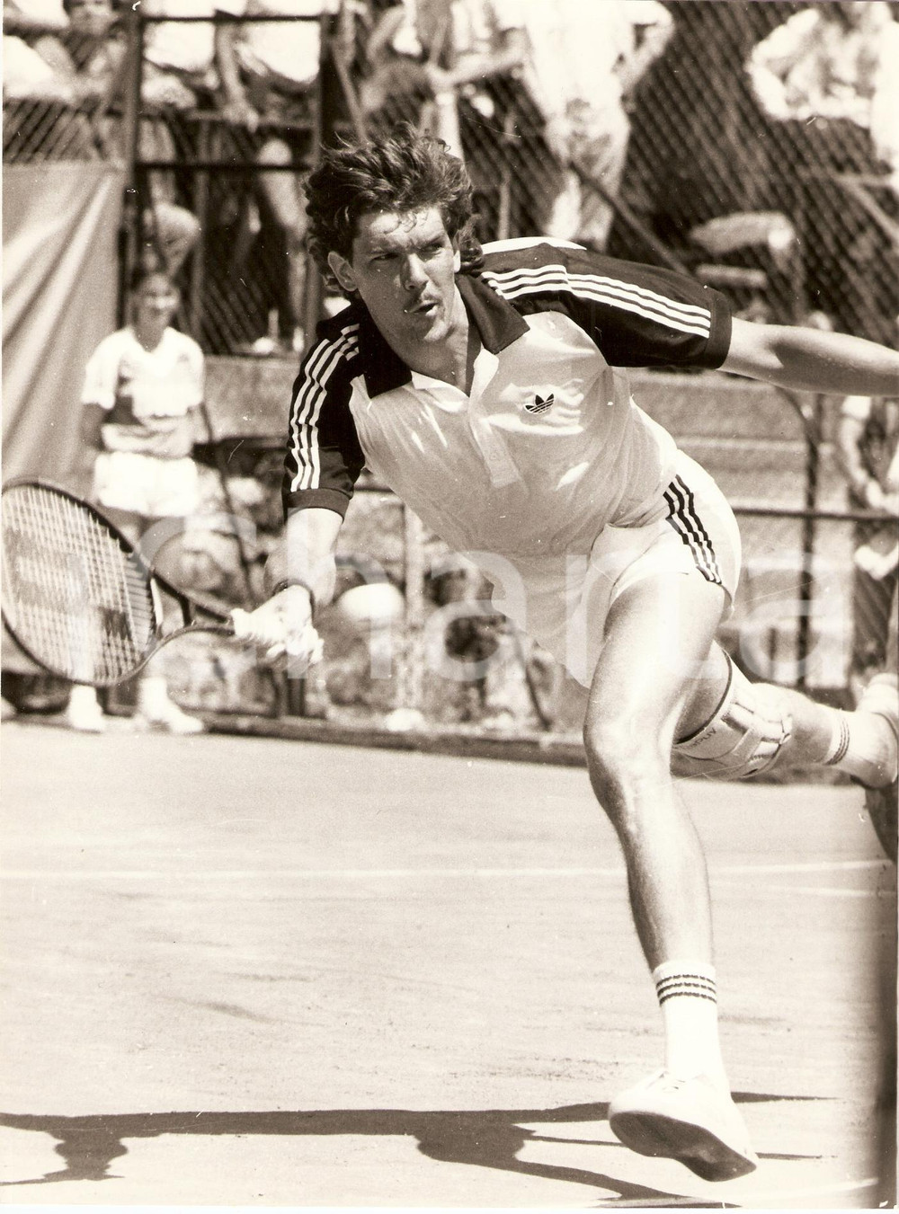 Fotografia d epoca originale 1980 ca COPPA DAVIS Tennis IRLANDA Matt DOYLE Ireland DAVIS CUP team Fotografia 1