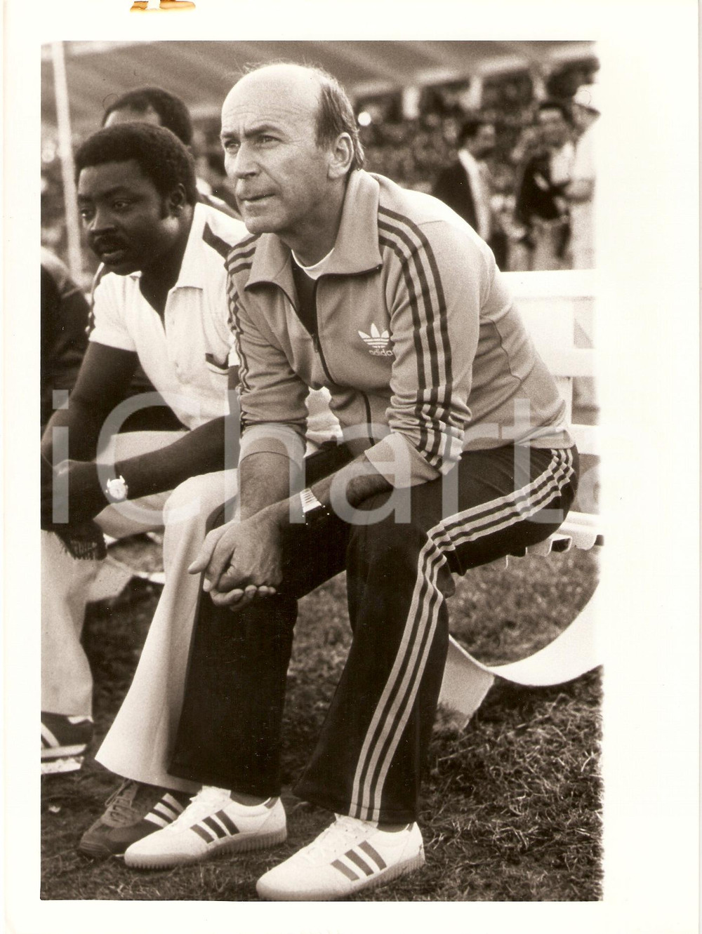 Fotografia d epoca originale 1980 ca CALCIO Nazionale CAMERUN Ritratto Allenatore Branko ZUTIC Fotografia 1