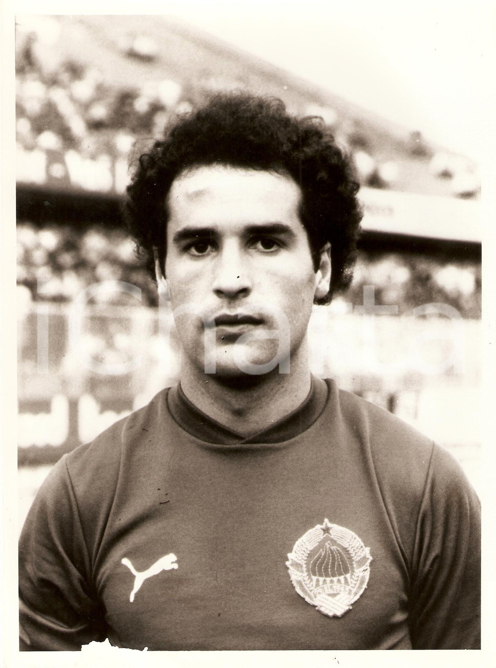 Fotografia d epoca originale 1982 JUGOSLAVIA Calcio MONDIALI Nenad STOJKOVIC Ritratto Calciatore Fotografia 1
