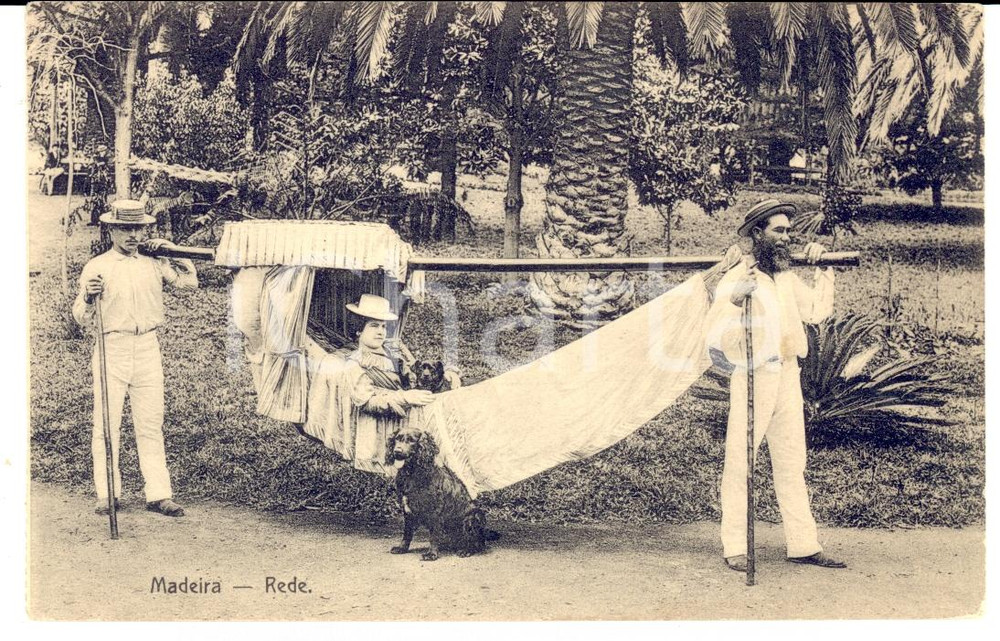 Cartolina originale da collezione 1910 ca MADERA PORTOGALLO Rede  Colona sull amaca Cartolina FP NV 1