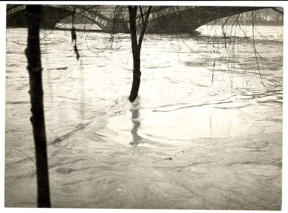 Fotografia d epoca originale 1970 TORINO Alberi sommersi dal Po al vecchio ponte REGINA MARGHERITA Foto HAUS 1