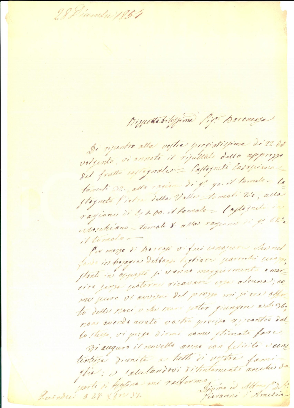 Documento originale, autentico 1857 QUINDICI AV Pioppi marci da tagliare nel fondo BOSAGRA baronessa BELLI 1