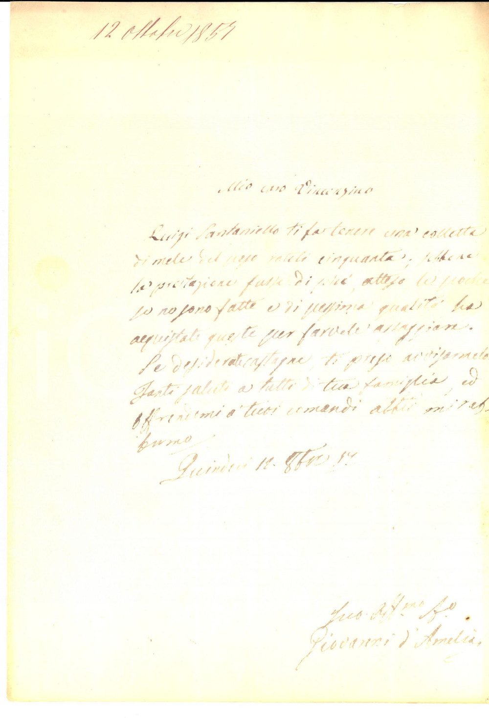 Documento originale, autentico 1857 QUINDICI AV Giovanni D AMELIA prepara una colletta di mele da assaggiare 1