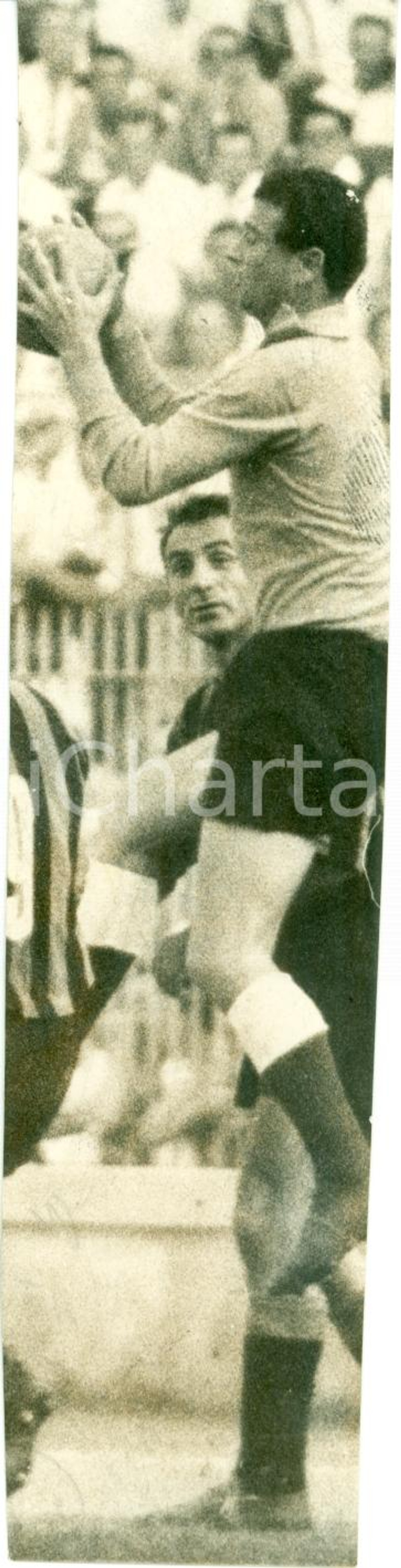 Fotografia d epoca originale 1965 MILANO Calcio INTER Ritratto portiere Giuliano SARTI Fotografia rifilata 1