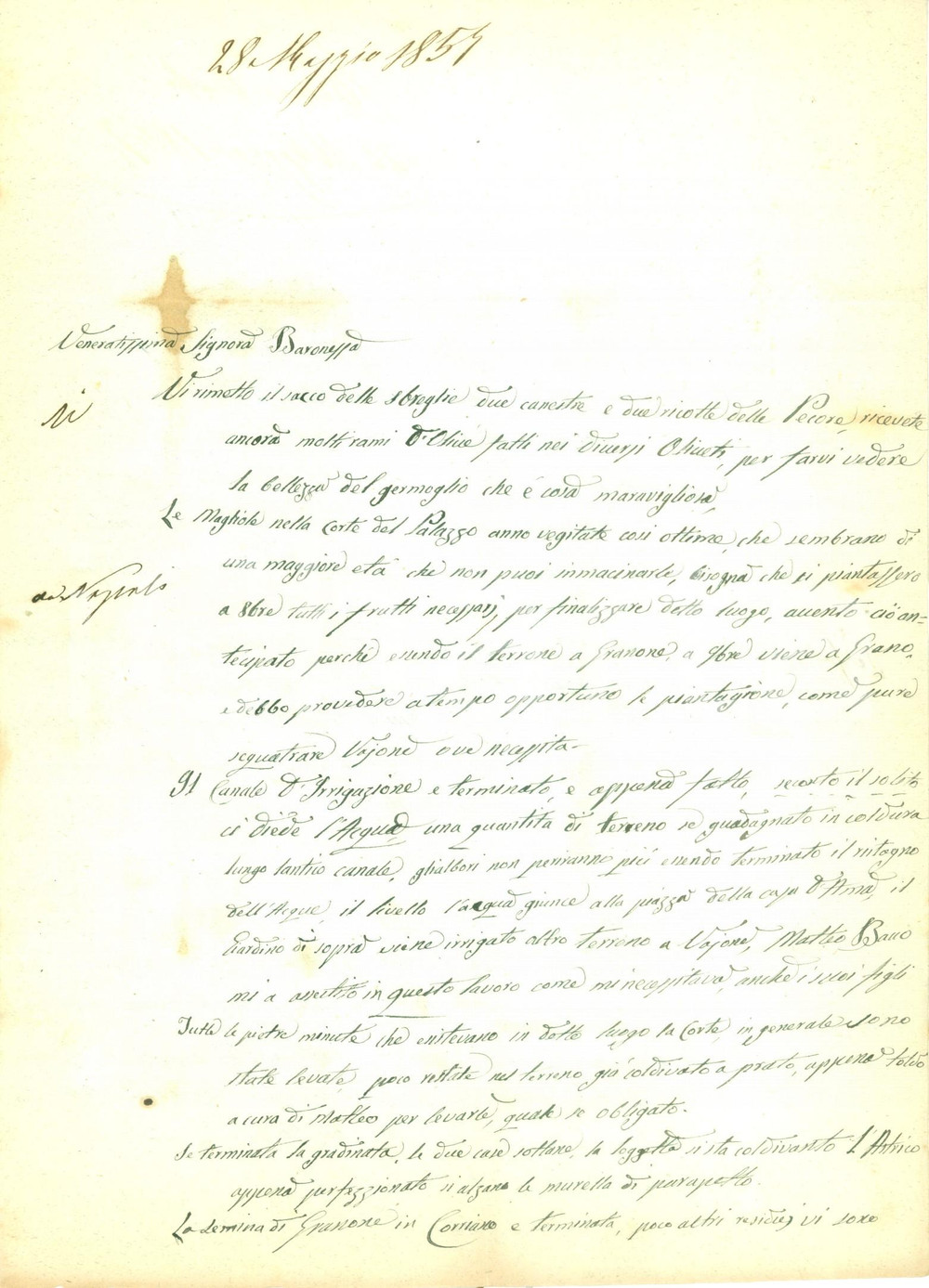 Documento originale, autentico 1857 GIFFONI VALLE PIANA Ermenegildo CAPPETTO aggiorna Baronessa Anna DE MARTINO 1
