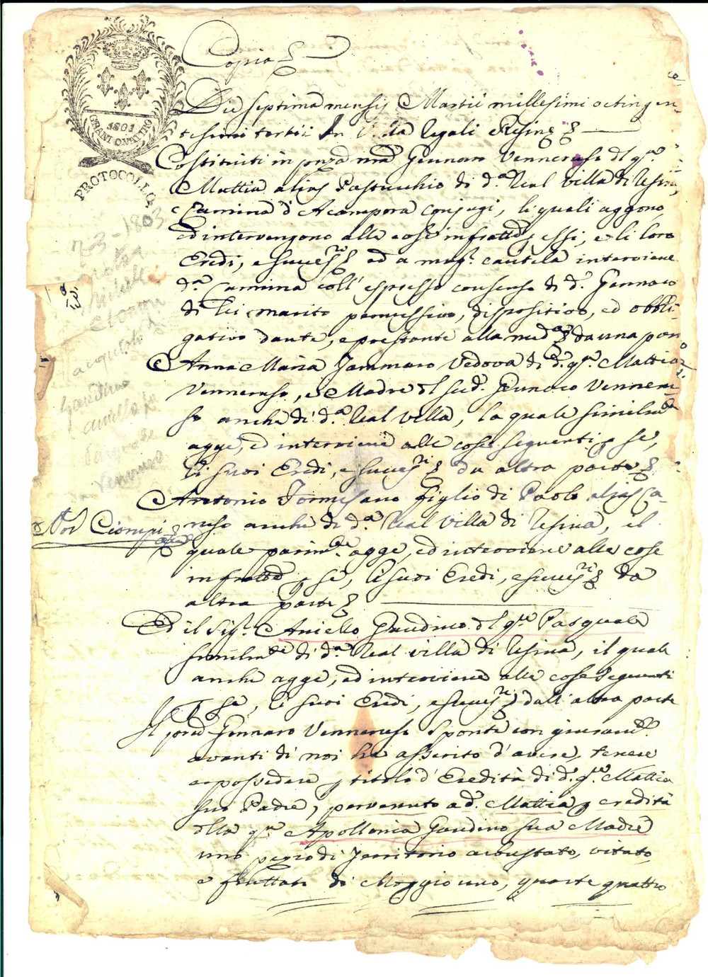 Documento originale, autentico 1803 ERCOLANO NA Gennaro VENERUSO vende terra ad Aniello GAUDINO DANNEGGIATO 1