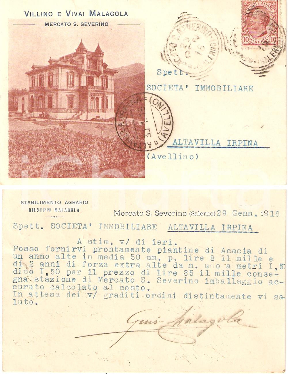 Cartolina originale da collezione 1916 MERCATO SAN SEVERINO SA Villino e vivai Giuseppe MALAGOLA Cartolina FP VG 1