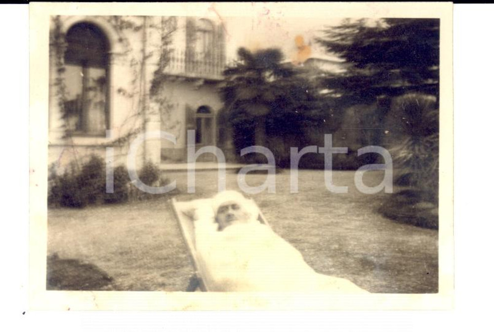 Fotografia d epoca originale 1918 WW1 BRESCIA Soldato italiano bendato all ospedale militare Foto 9 x 6 1