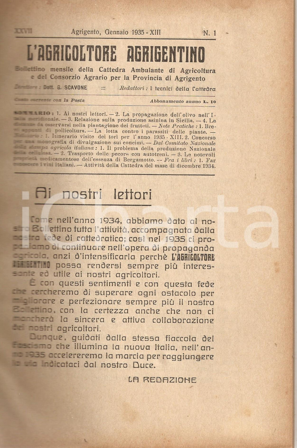 Giornale, rivista storica 1935 AGRICOLTORE AGRIGENTINO Stazioni di Monta per asini in SICILIA Rivista 1