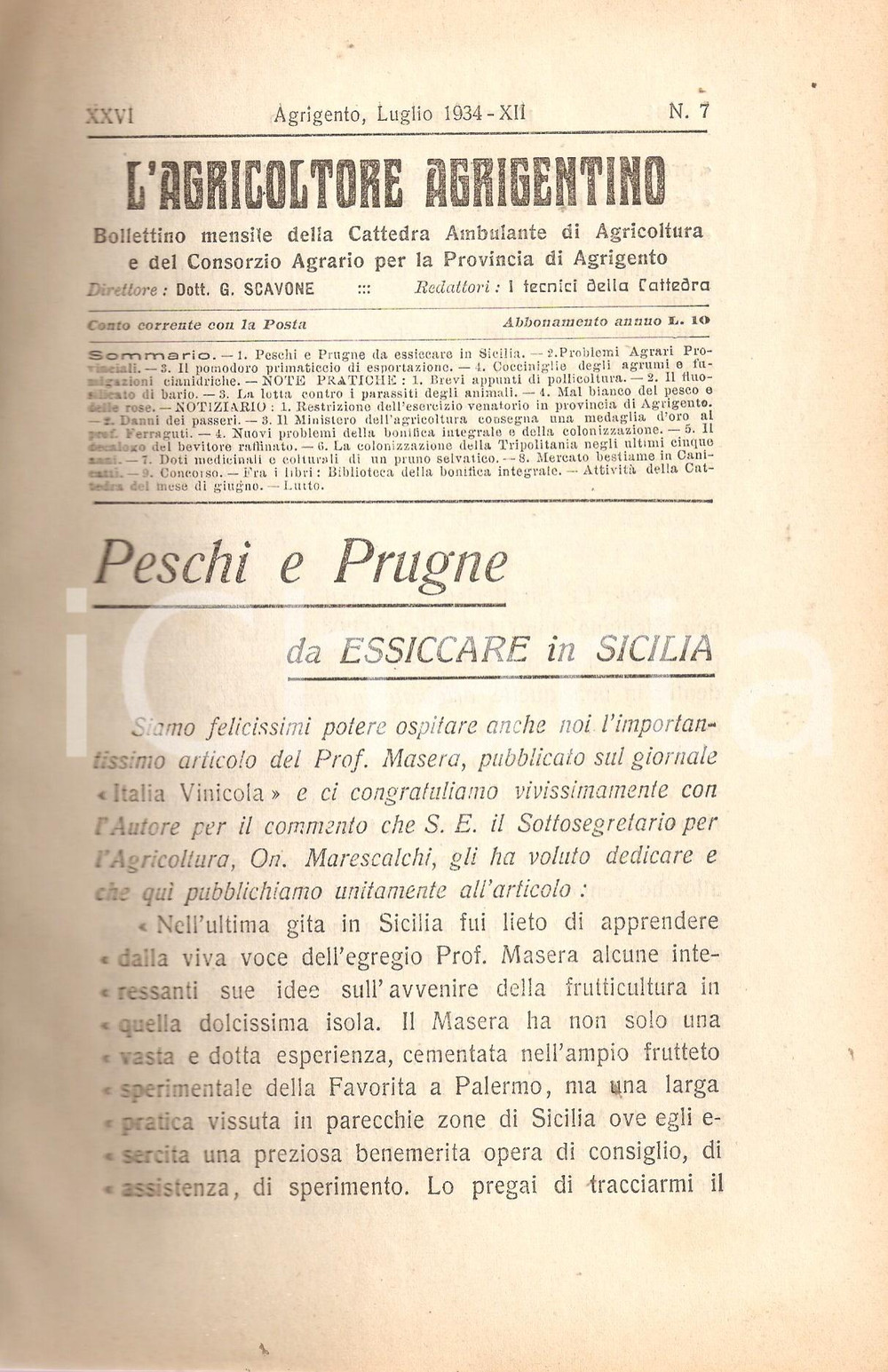Giornale, rivista storica 1934 AGRICOLTORE AGRIGENTINO Problemi coltivazione pesche in SICILIA Rivista 1