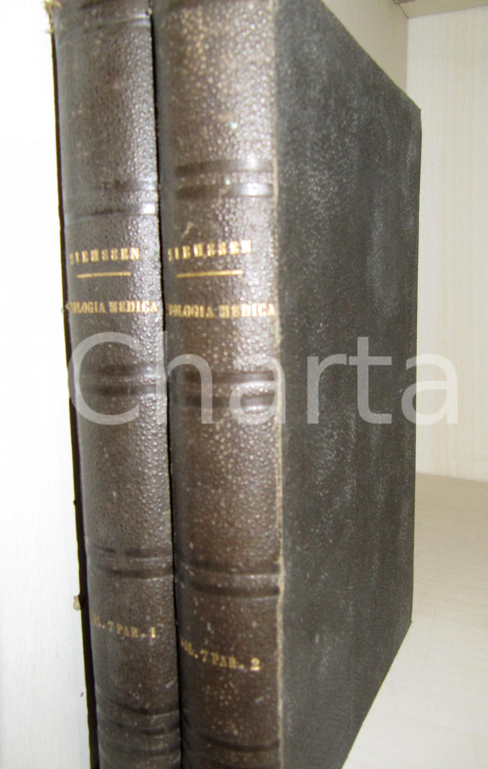 Libro, pubblicazione d epoca 1880 VOGEL WAGNER WENDT Malattie dell apparecchio CHILOPOIETICO 2 Volumi 1