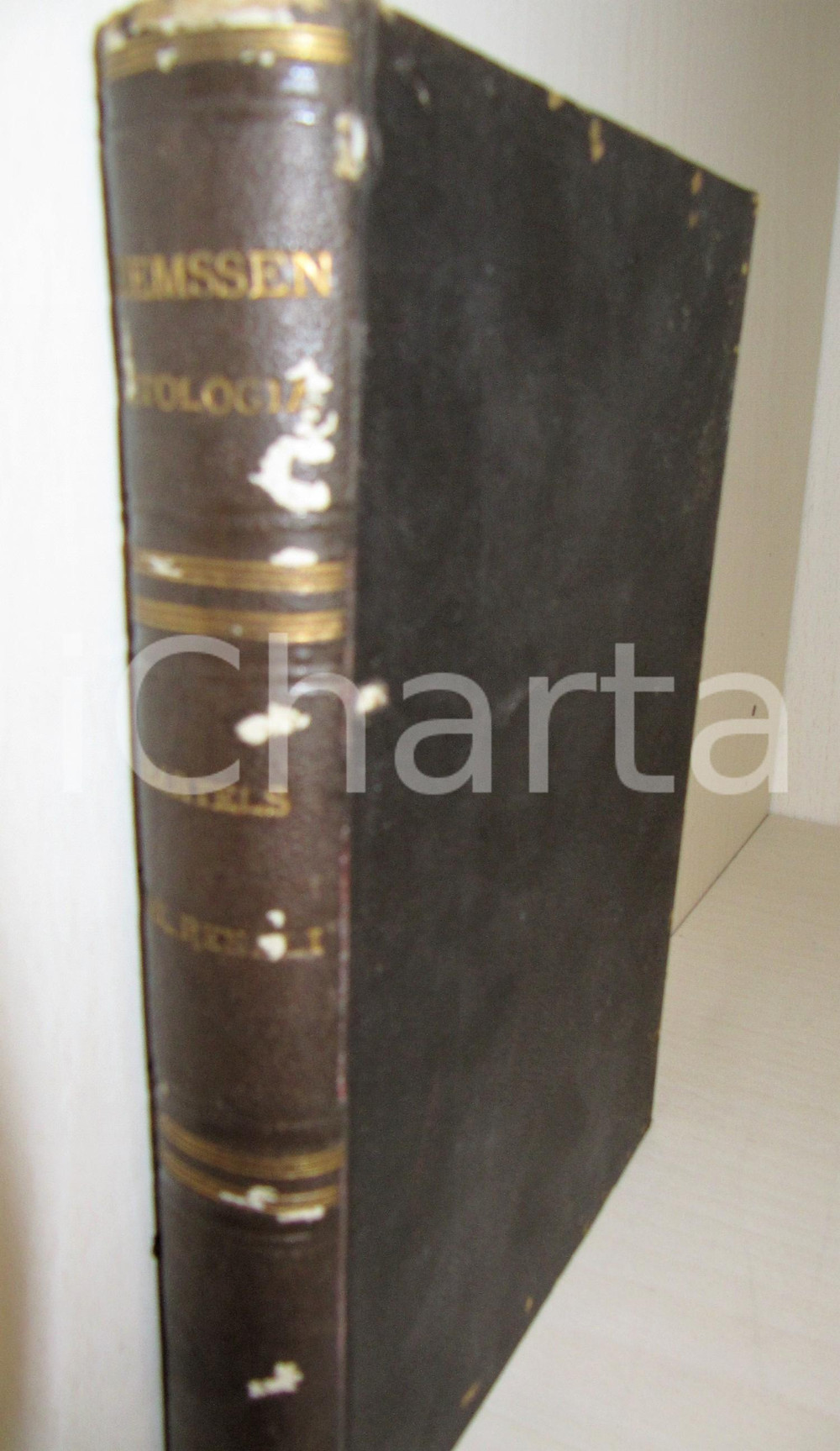 Libro, pubblicazione d epoca 1883 BARTELS Malattie dell APPARECCHIO URINARIO Trad. AFFINITA PETTERUTI Volume 1