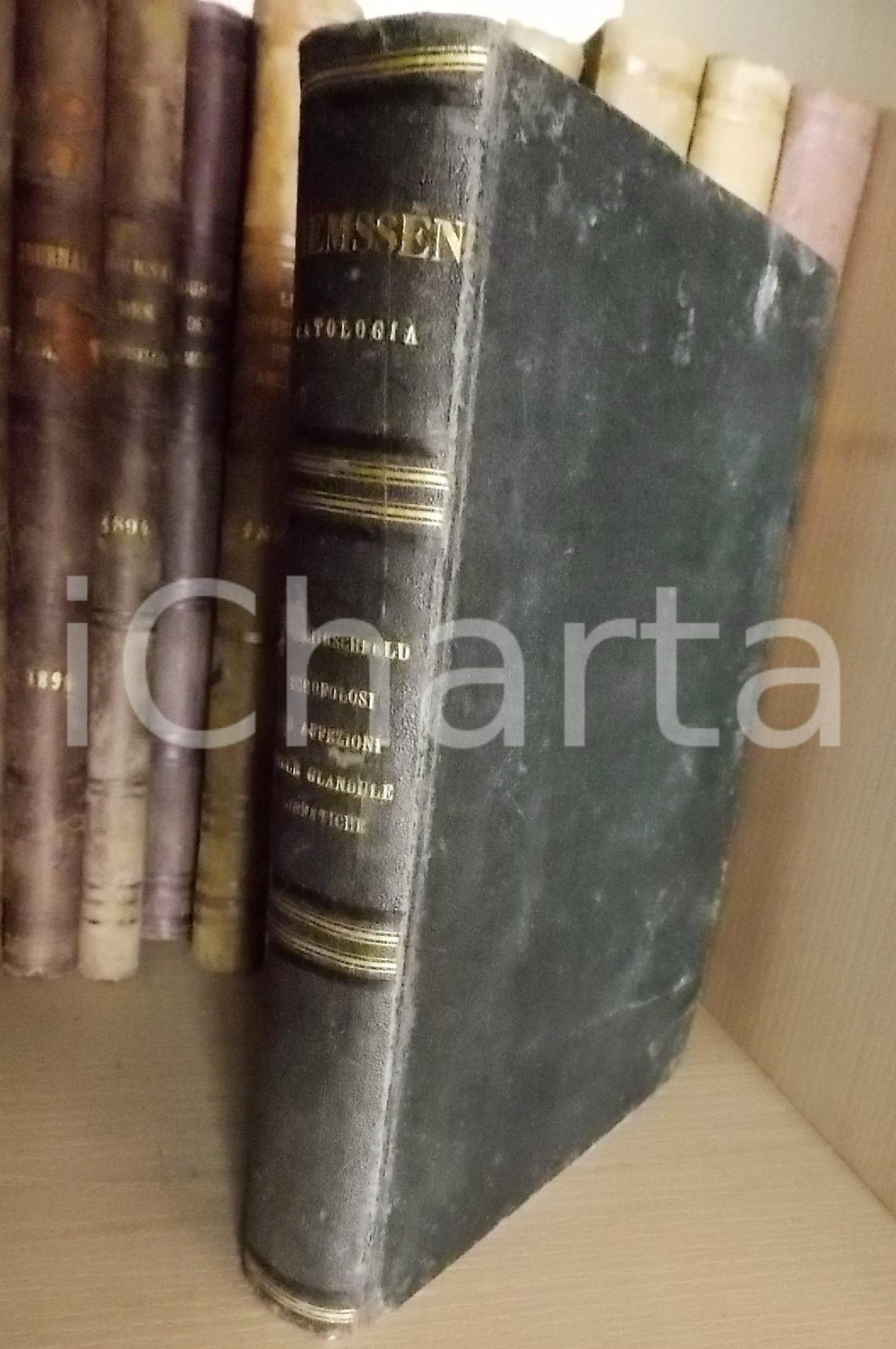 Libro, pubblicazione d epoca 1880 Felix Victor BIRCHHIRSCHFELD Anomalie generali di NUTRIZIONE Volume 1