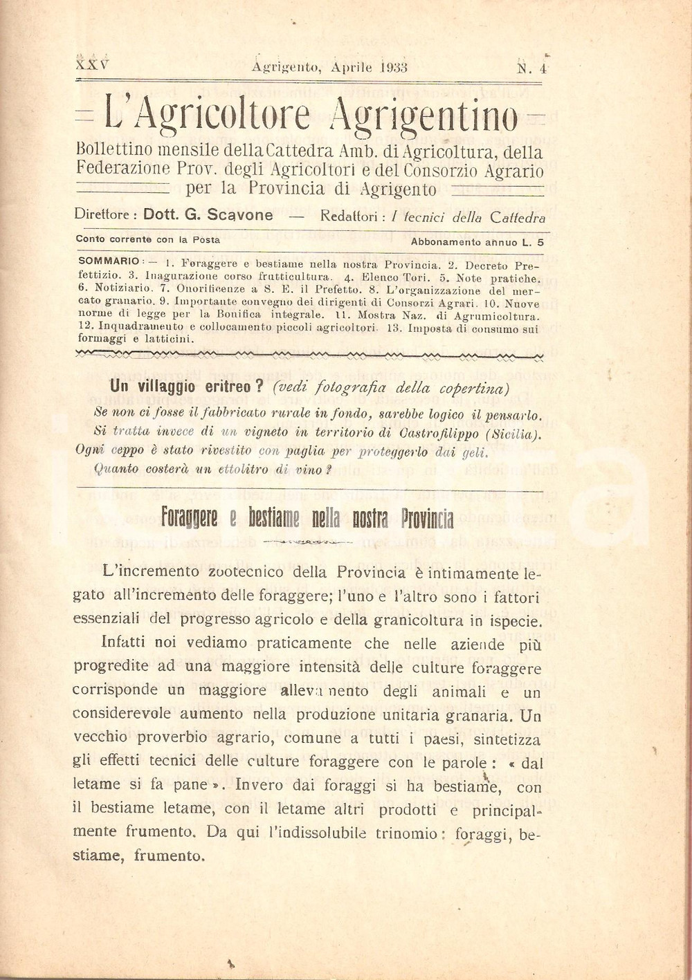 Giornale, rivista storica 1933 AGRICOLTORE AGRIGENTINO Nuove norme per opere di bonifica Rivista 1