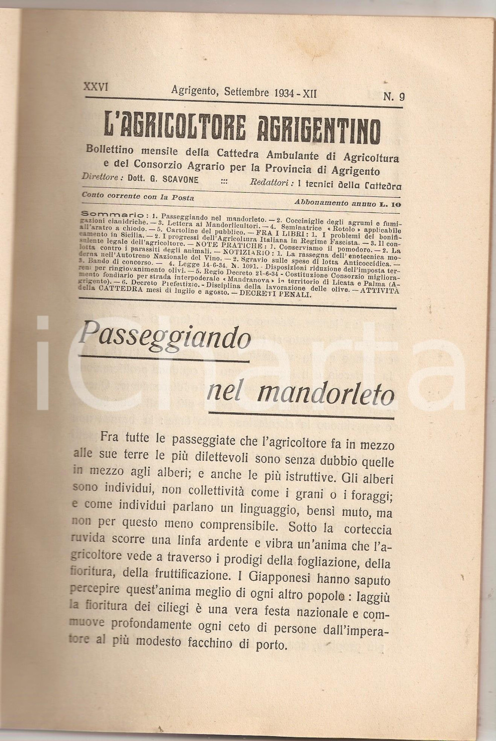 Giornale, rivista storica 1934 AGRIGENTO Agricoltore agrigentino Seminatrice ROTOLO per aratro a chiodo 1