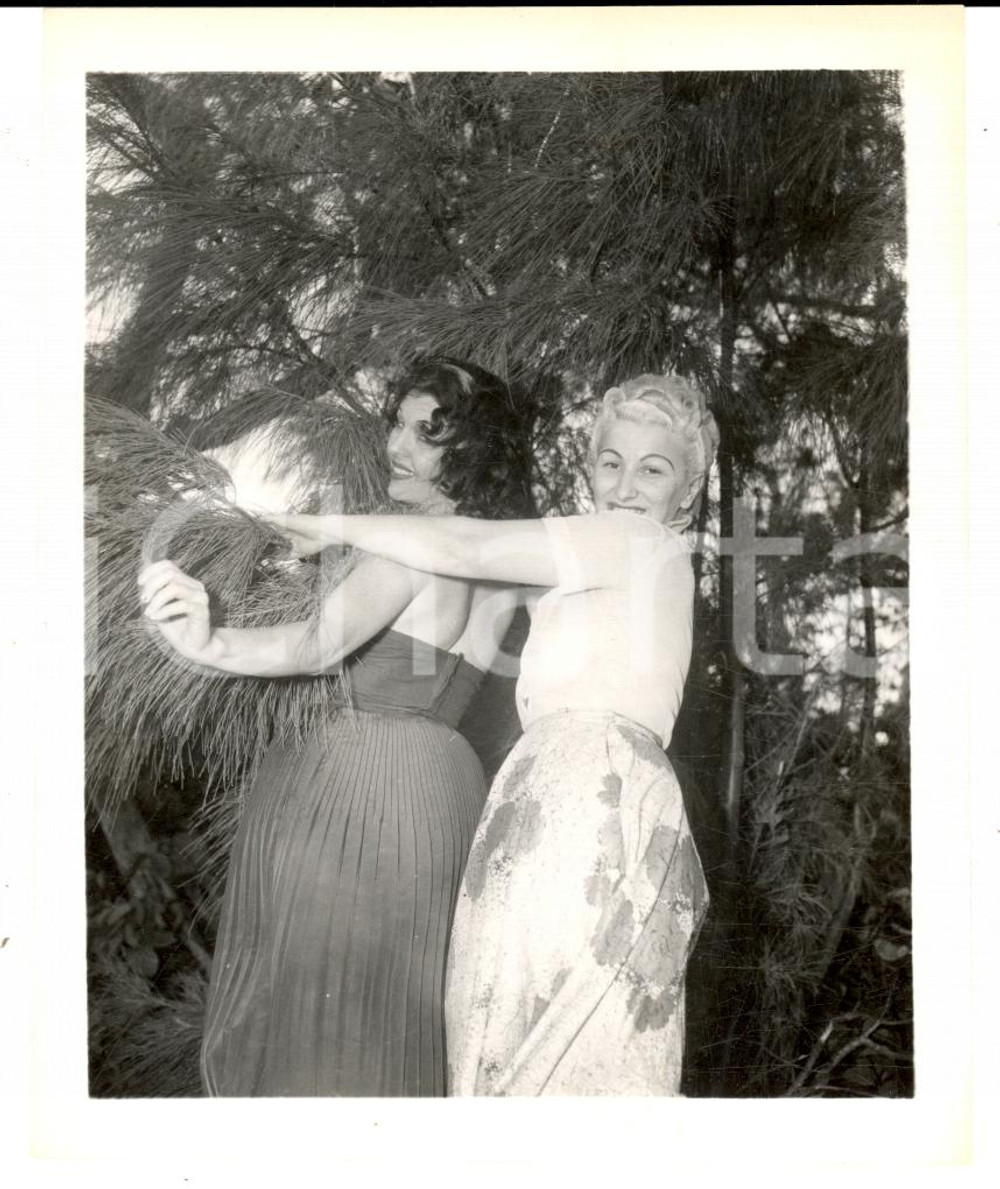 Fotografia d epoca originale 1965 ca USA  EROTICA VINTAGE Two mature women playing in a pine forest PHOTO 1