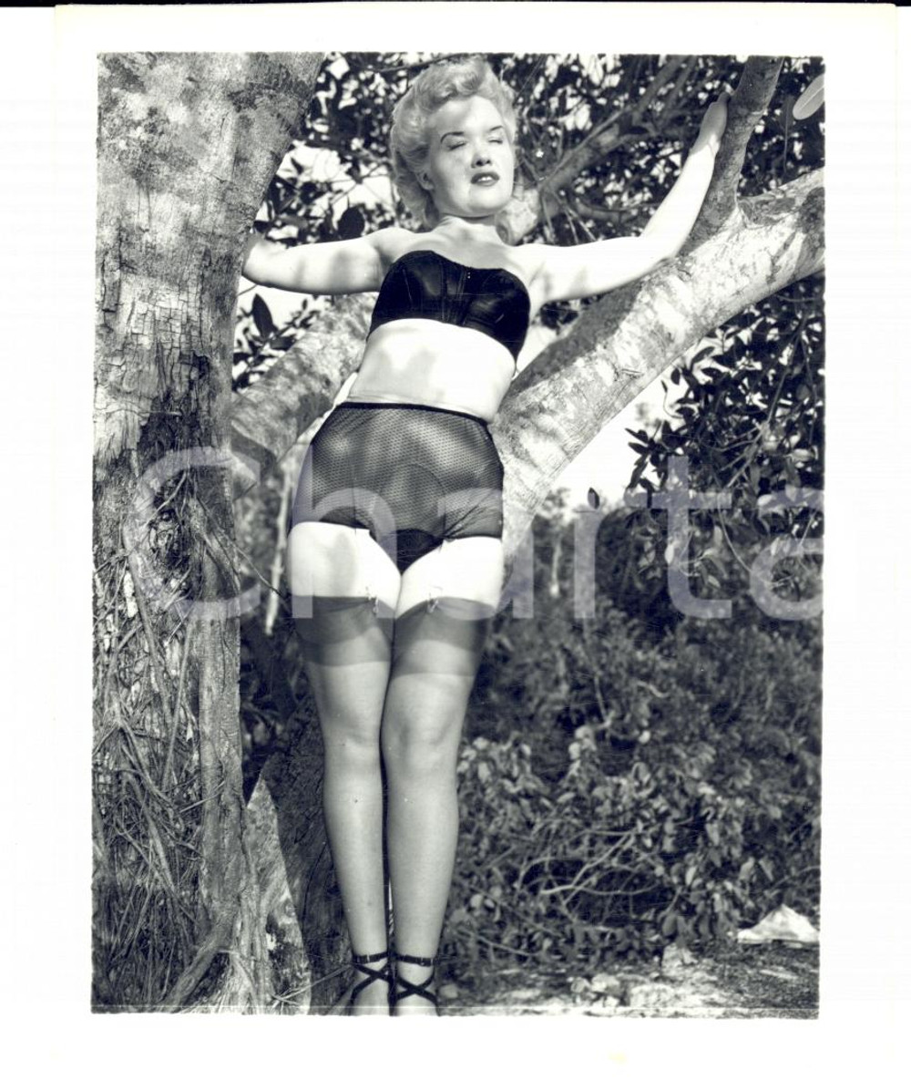Fotografia d epoca originale 1965 ca USA  EROTICA VINTAGE Sexy woman posing near a tree PHOTO 1