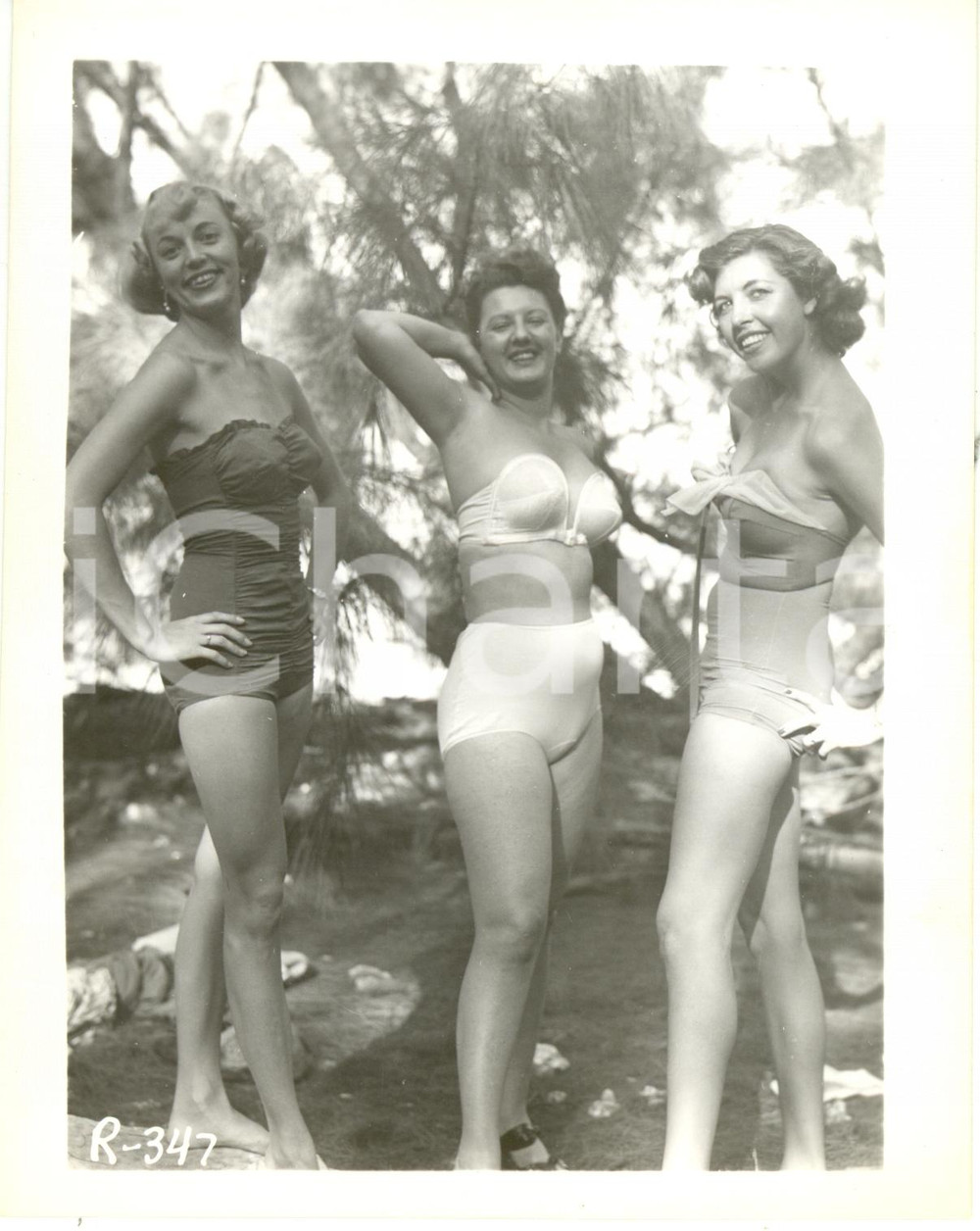 Fotografia d epoca originale 1965 ca USA  EROTICA VINTAGE Three women posing on a lawn PHOTO 1