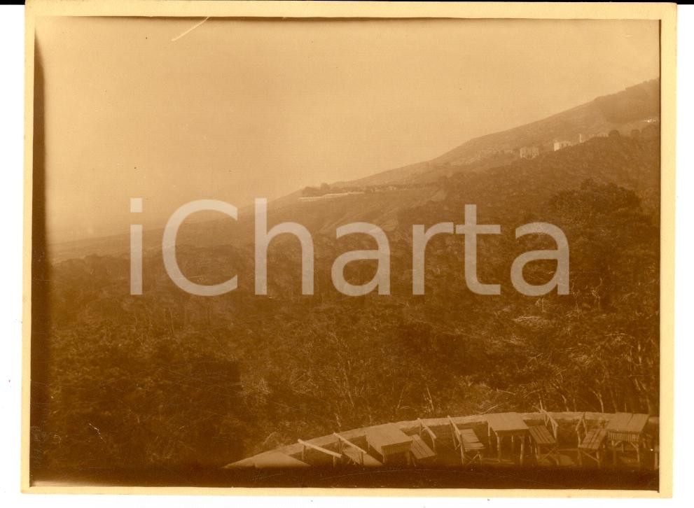Fotografia d epoca originale 1920 RIO DE JANEIRO BRAZIL Distesa di boschi verso la baia Foto VINTAGE 1