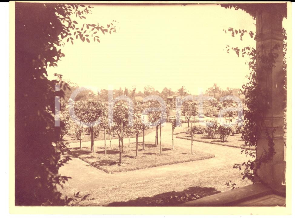 Fotografia d epoca originale 1920 RIO DE JANEIRO BRAZIL Vegetazione interna del Giardino Botanico Foto 1