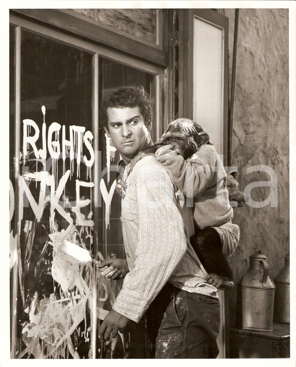 Fotografia d epoca originale 1967 MONKEYS, GO HOME! Dean JONES Ritratto con scimmia WALT DISNEY Foto di scena 1